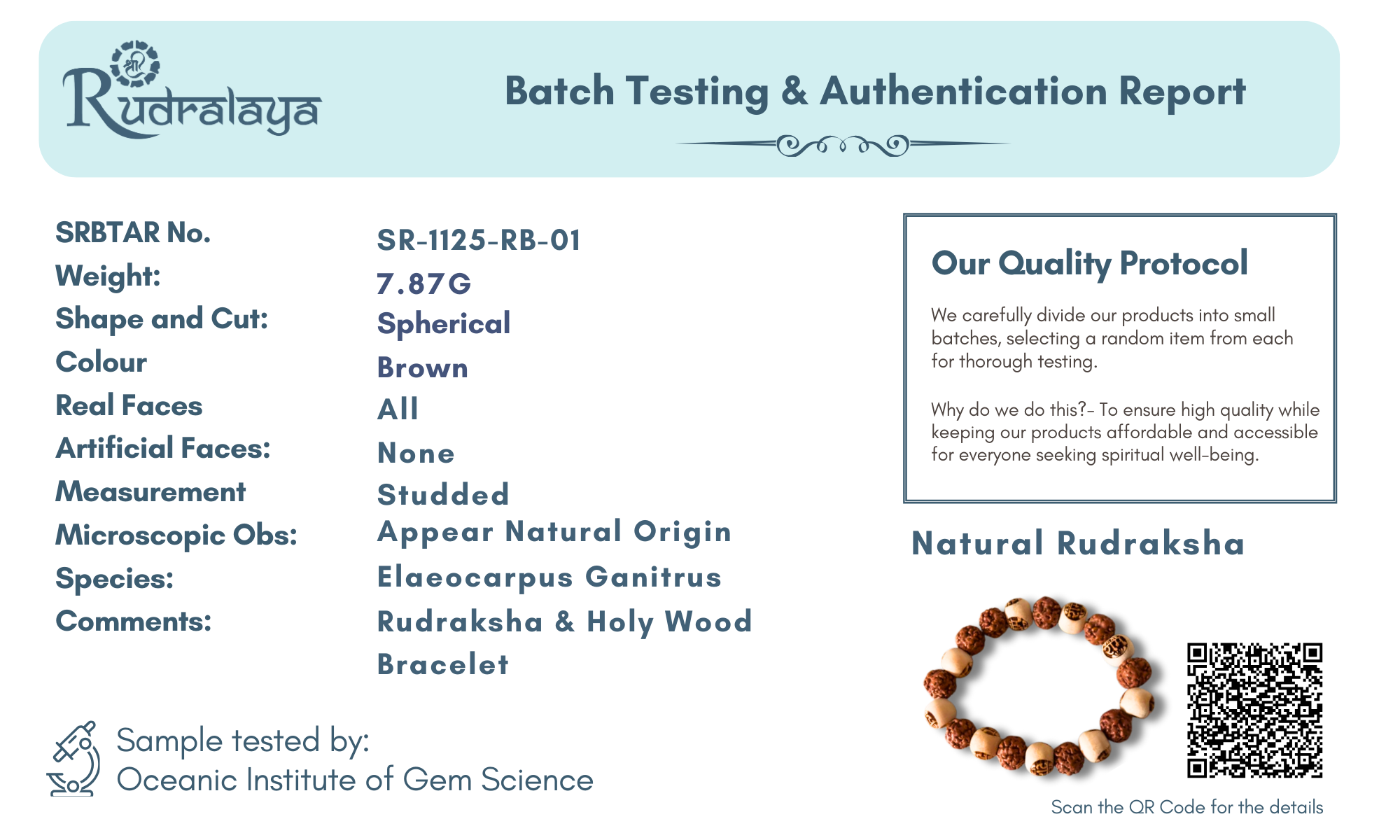 Sacred Raam Wood & Rudraksha Healing Bracelet