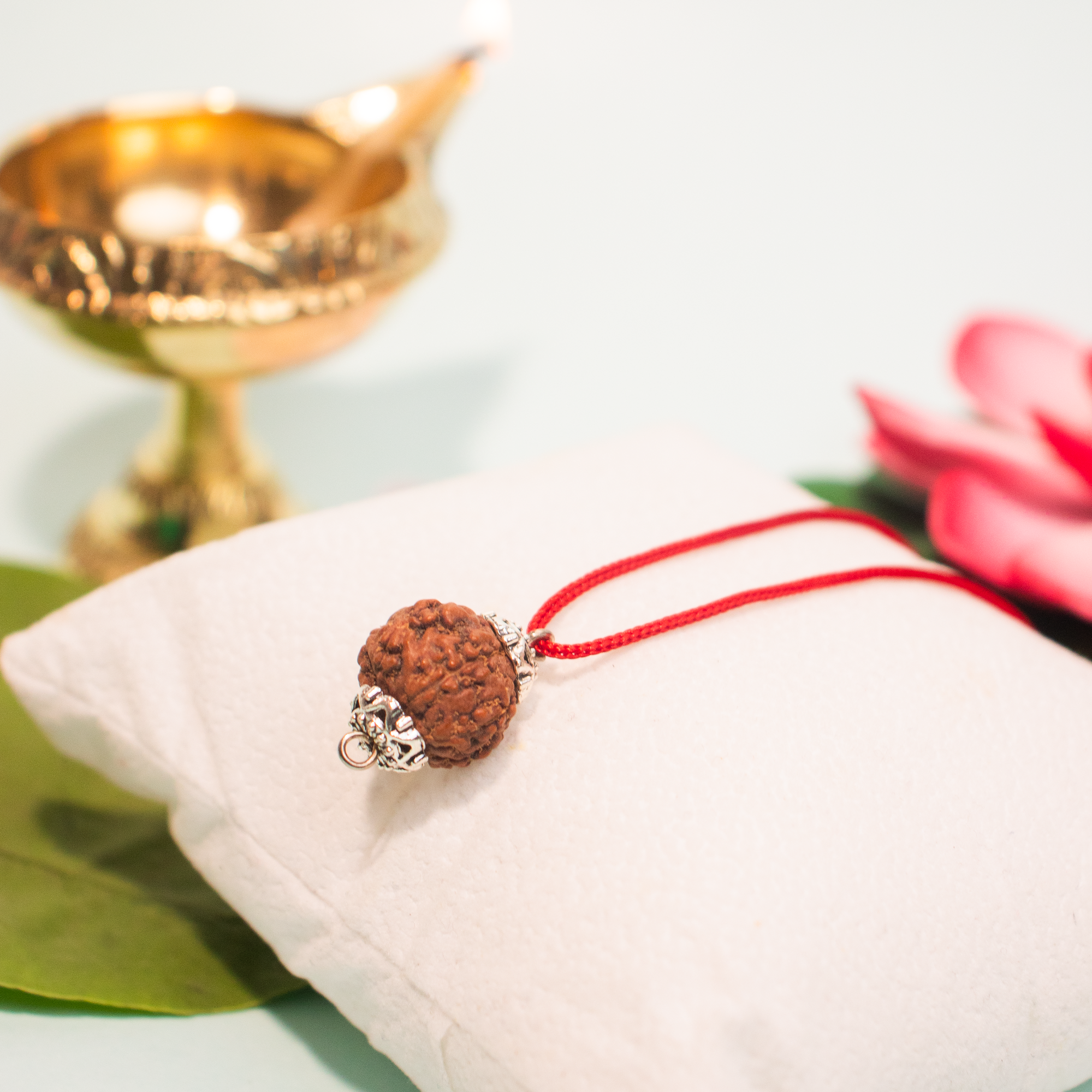 11 Mukhi Indonesian Rudraksha – Divine Wisdom & Protection