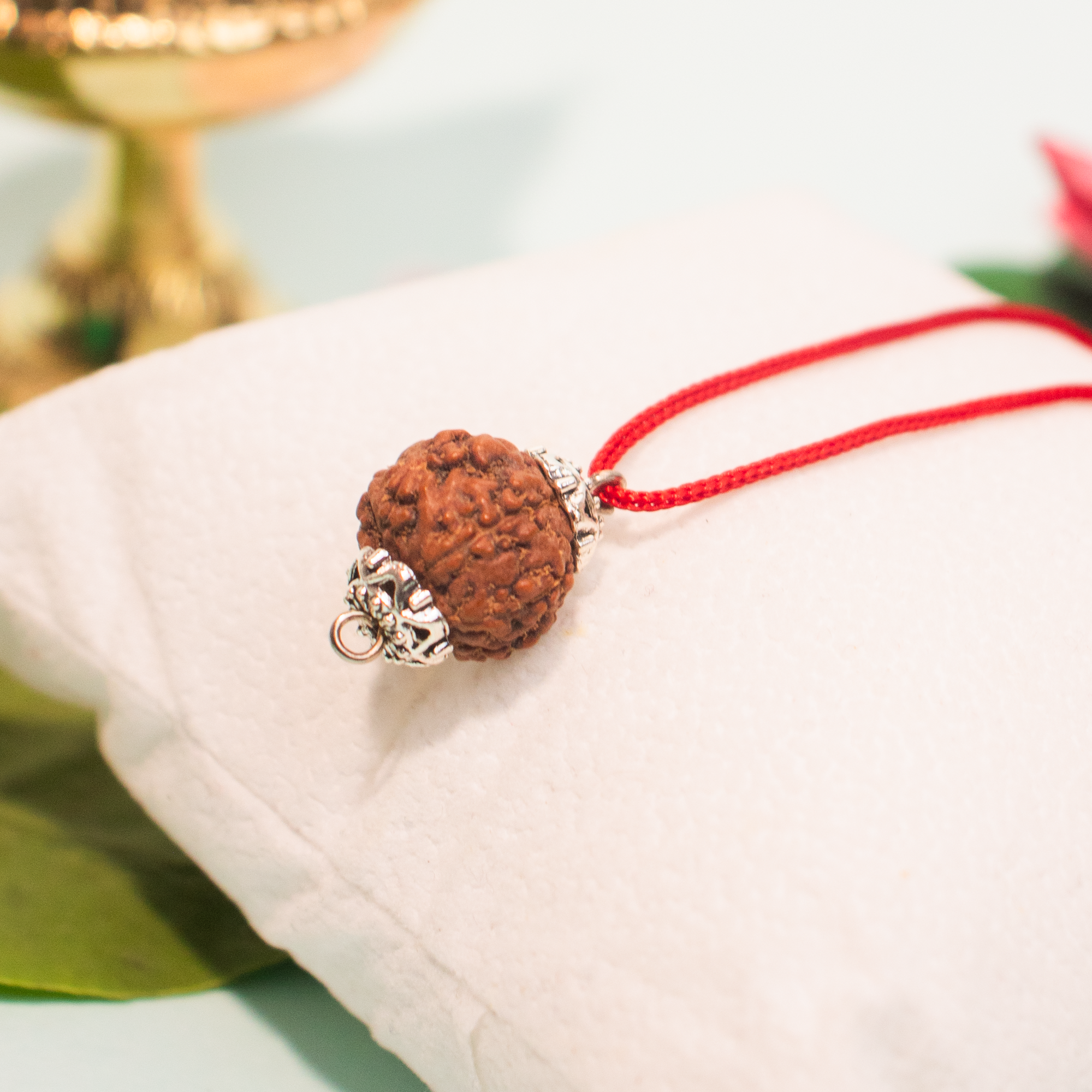 11 Mukhi Indonesian Rudraksha – Divine Wisdom & Protection