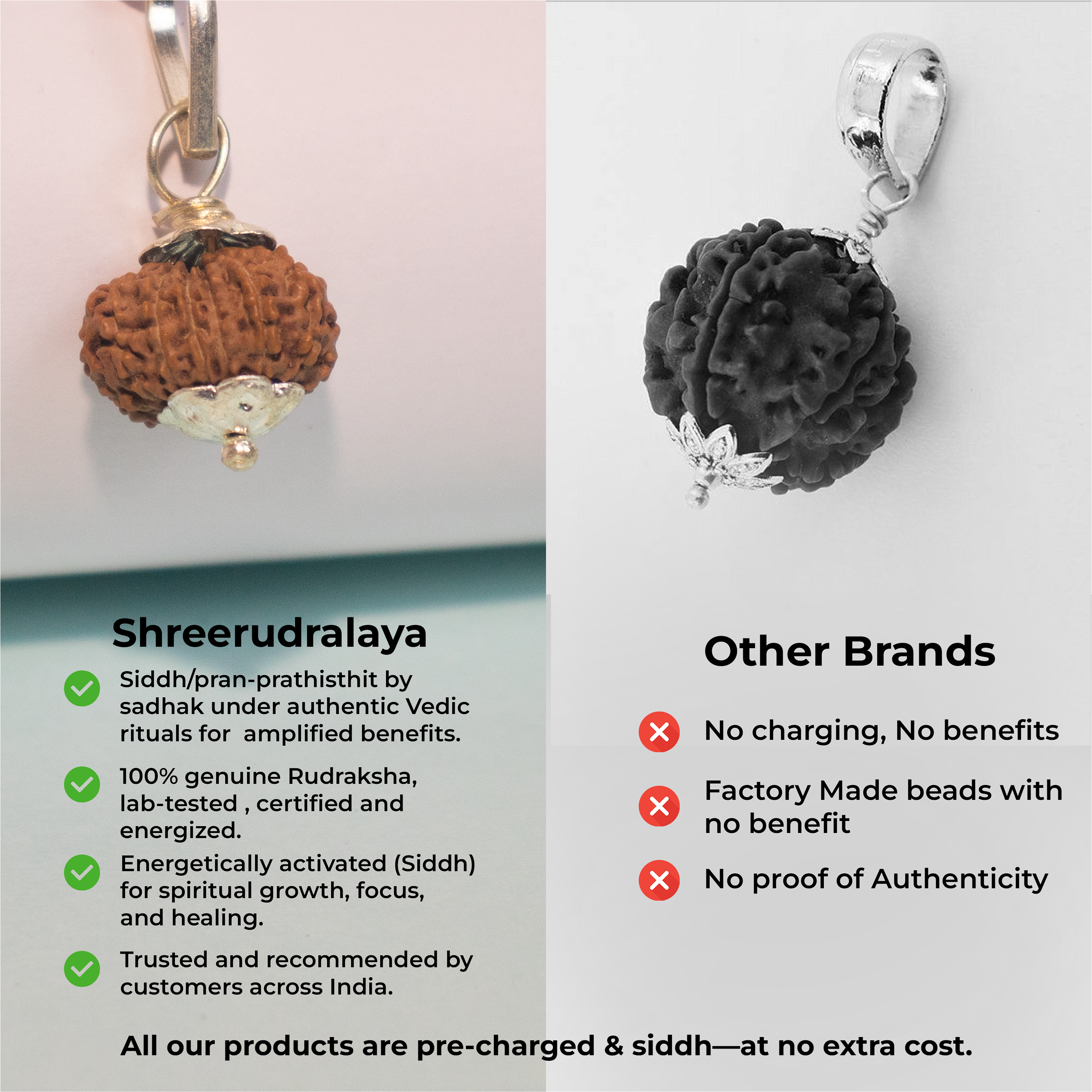 13 Mukhi Rudraksha Pendant – Power, Success & Charisma