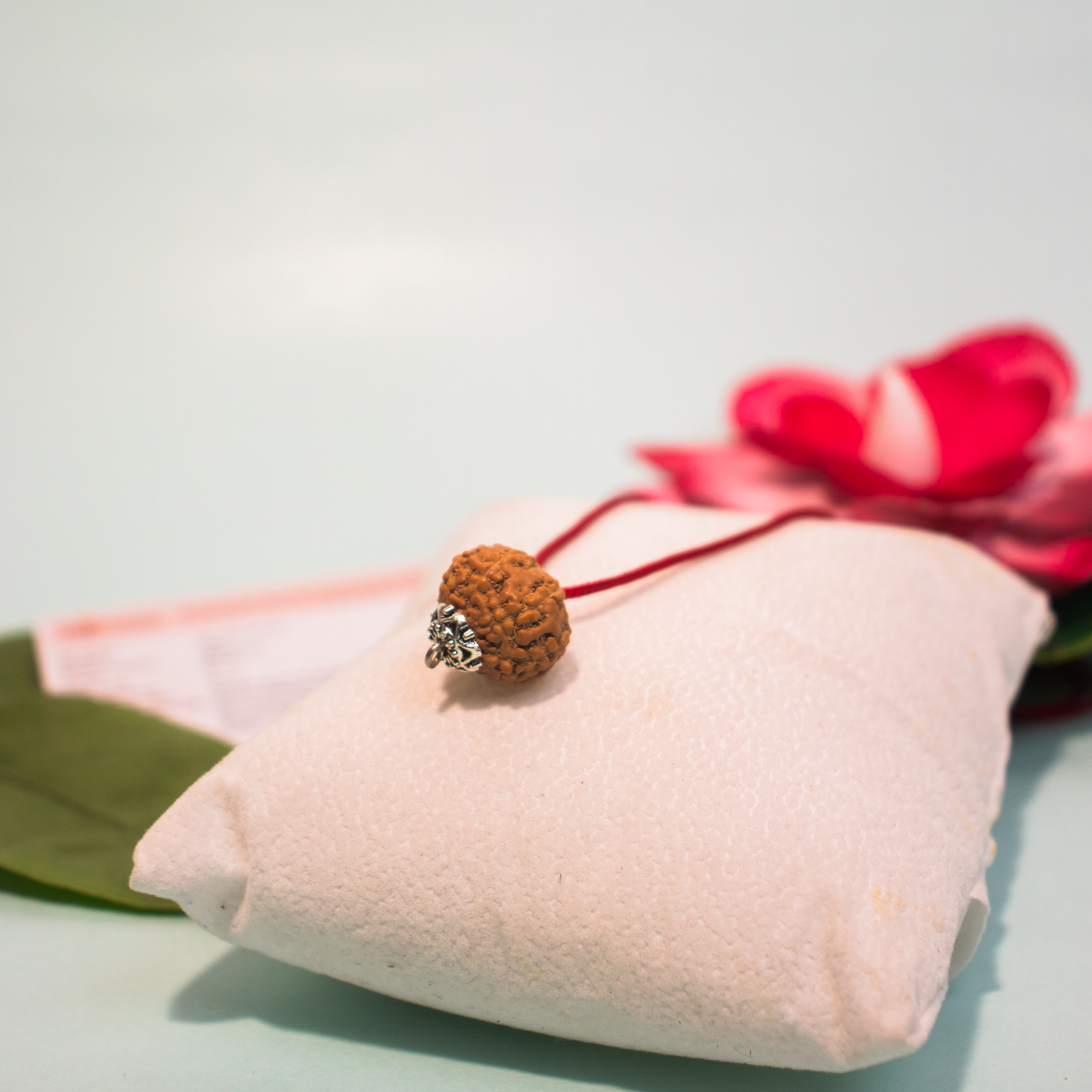 12 Mukhi Indonesian Rudraksha – Surya Dev Energized Bead