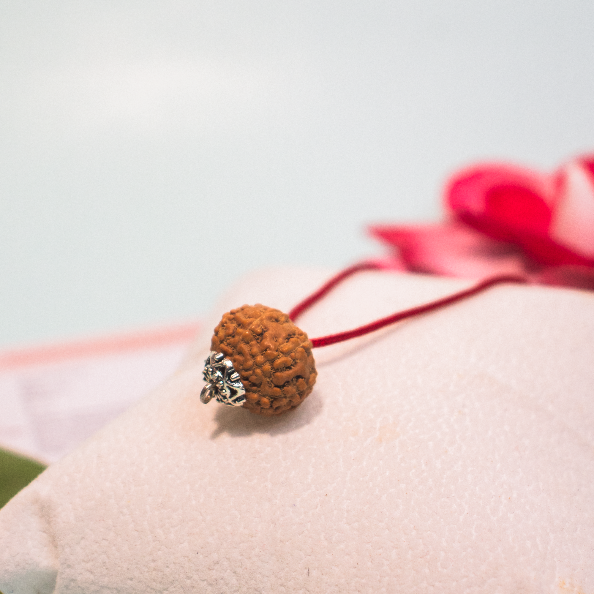 12 Mukhi Indonesian Rudraksha – Surya Dev Energized Bead