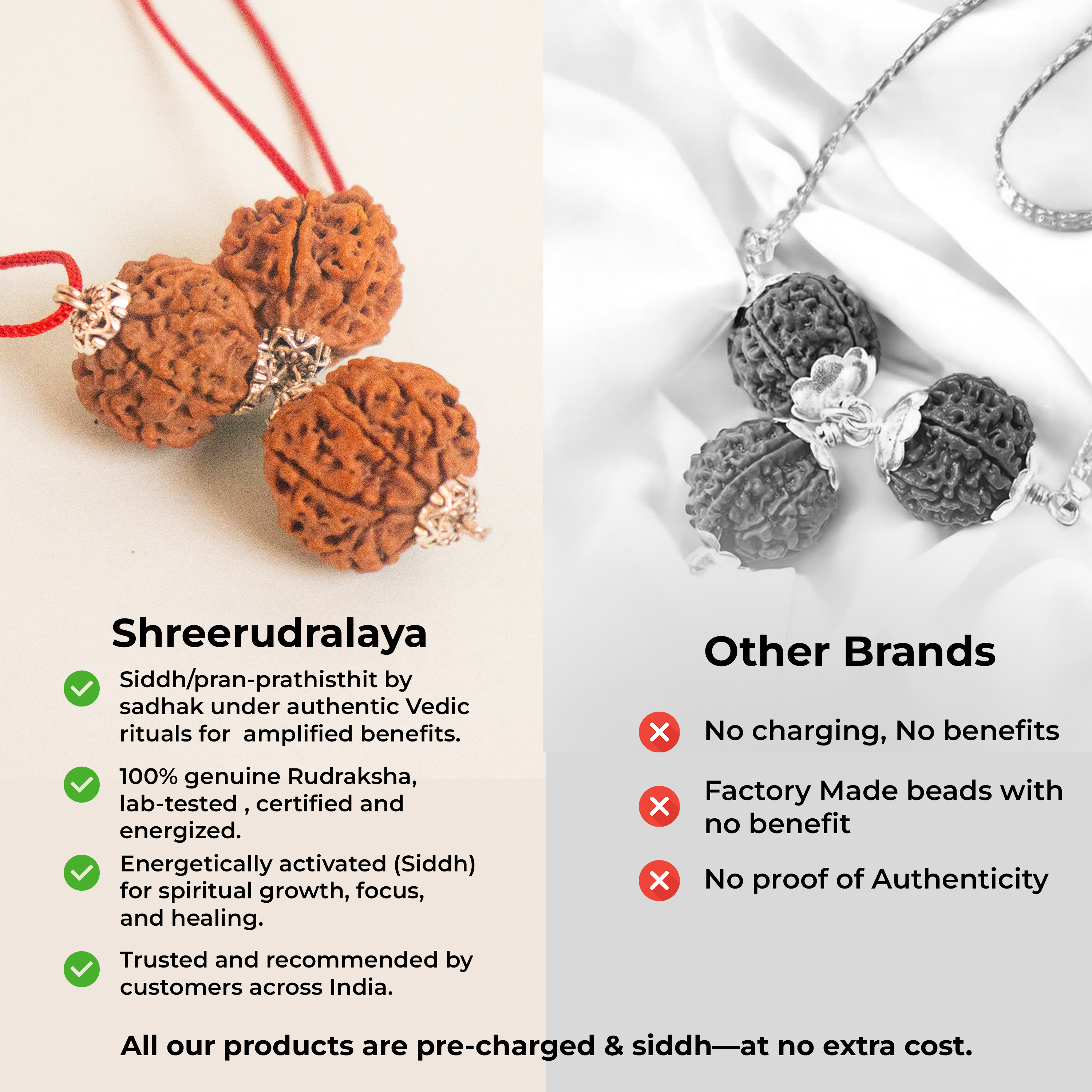 Mahalaxmi Kartikeya Pendant – 2 Seven Mukhi & 1 Six Mukhi Rudraksha