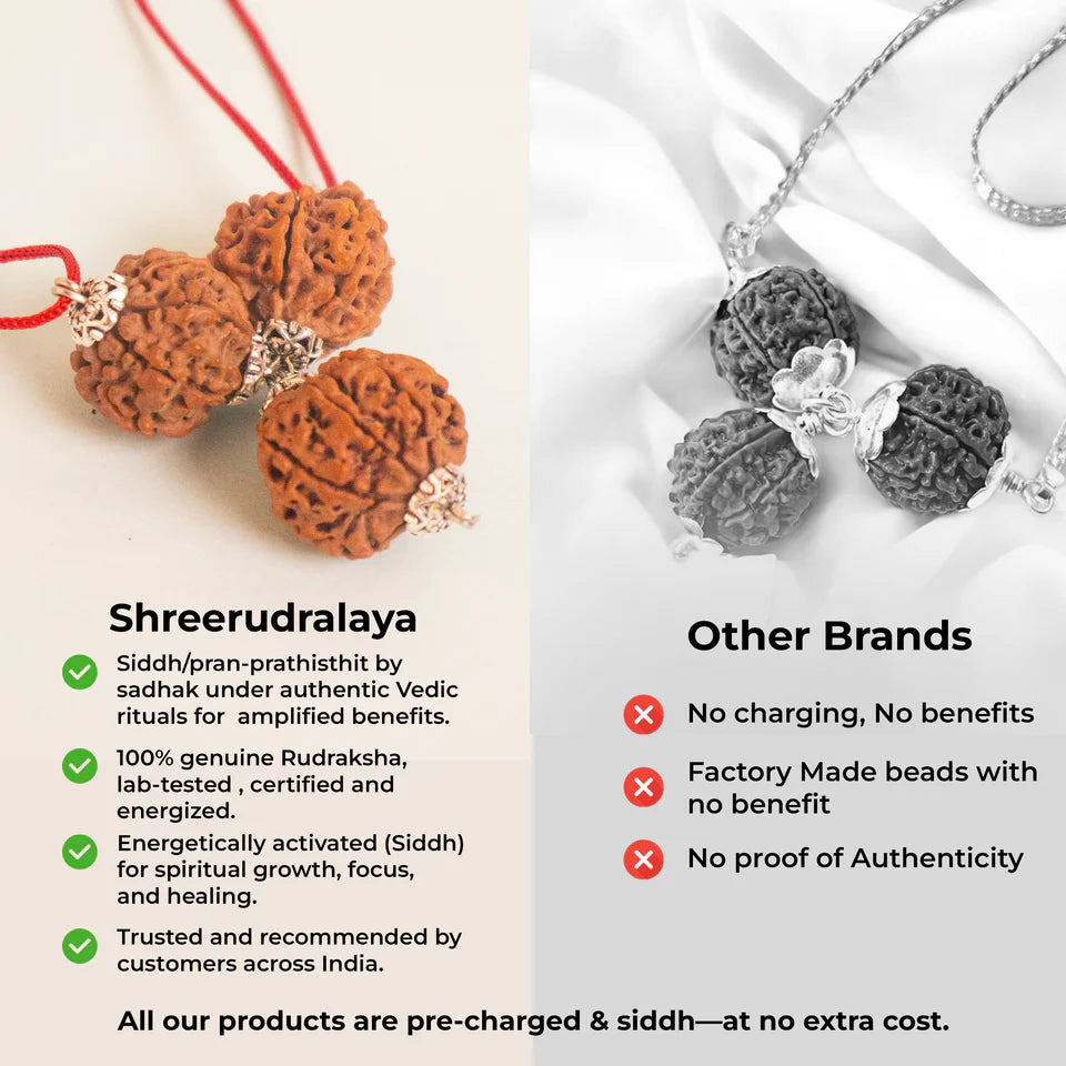 Mahalaxmi Kartikeya Pendant – 2 Seven Mukhi & 1 Six Mukhi Rudraksha