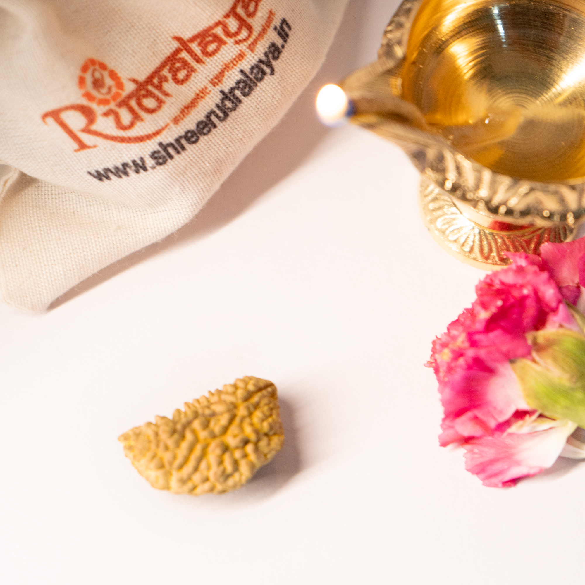 1 Mukhi Rudraksha - Supreme Spiritual Power & Consciousness Awakening