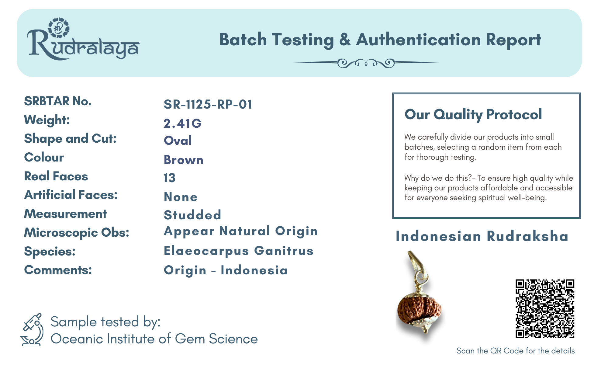 13 Mukhi Rudraksha Pendant – Power, Success & Charisma