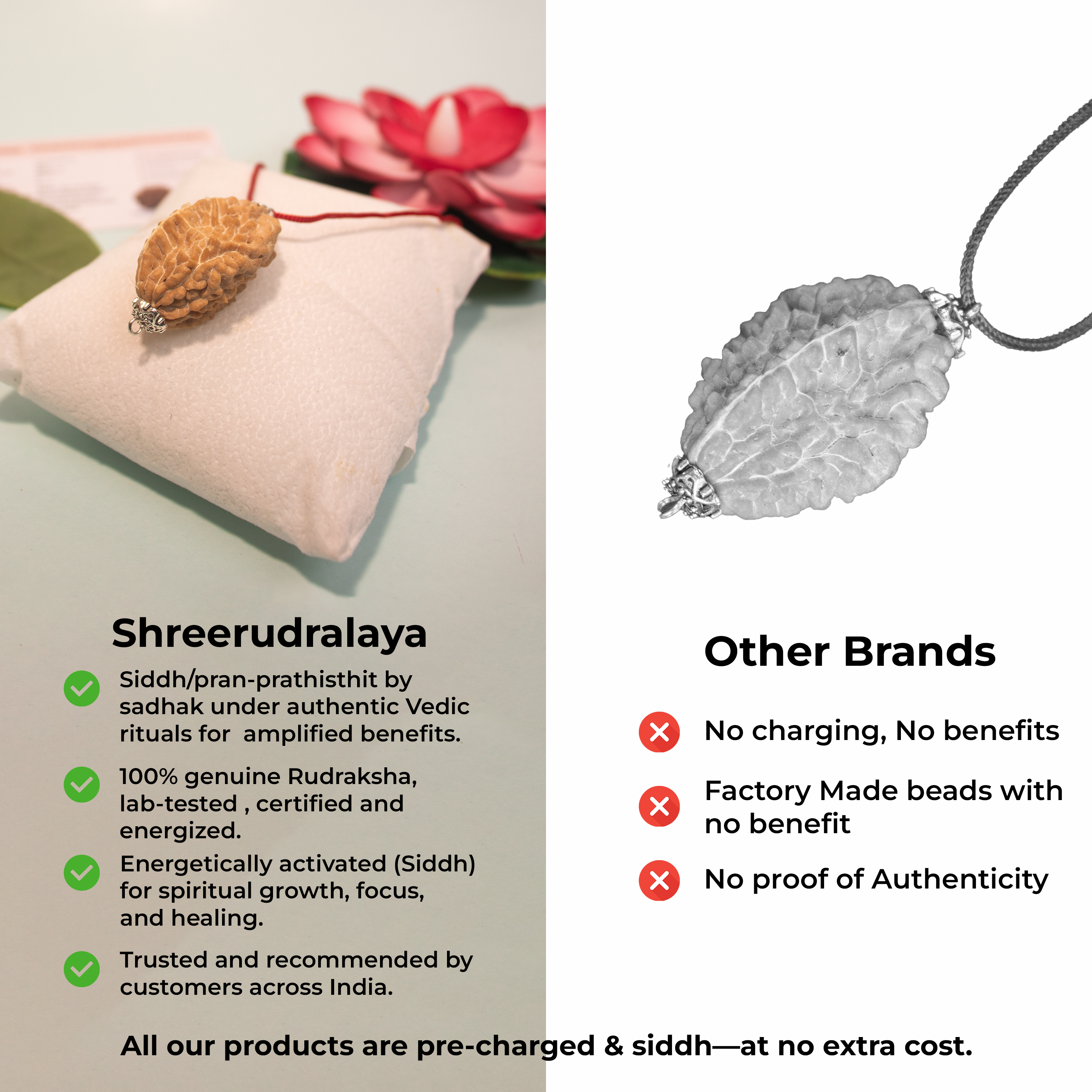 2 Mukhi Rudraksha Pendant from Dakshin Bharata