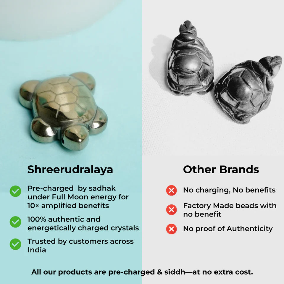 Maha Pyrite Combo – Pendant, 3 Clusters, Bracelet & Turtle