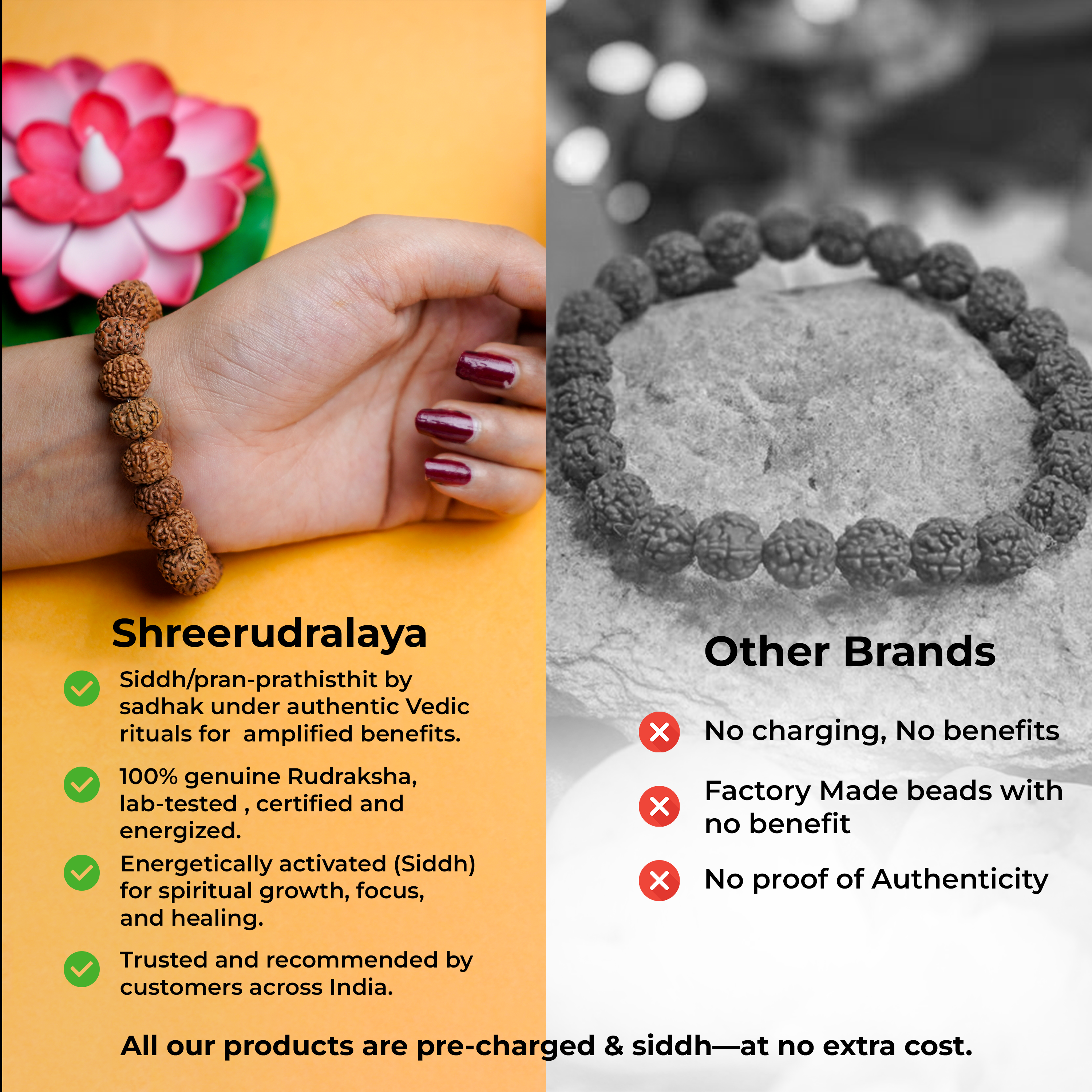 7 Mukhi Rudraksha Bracelet & 7 Mukhi Rudraksha Pendant Combo