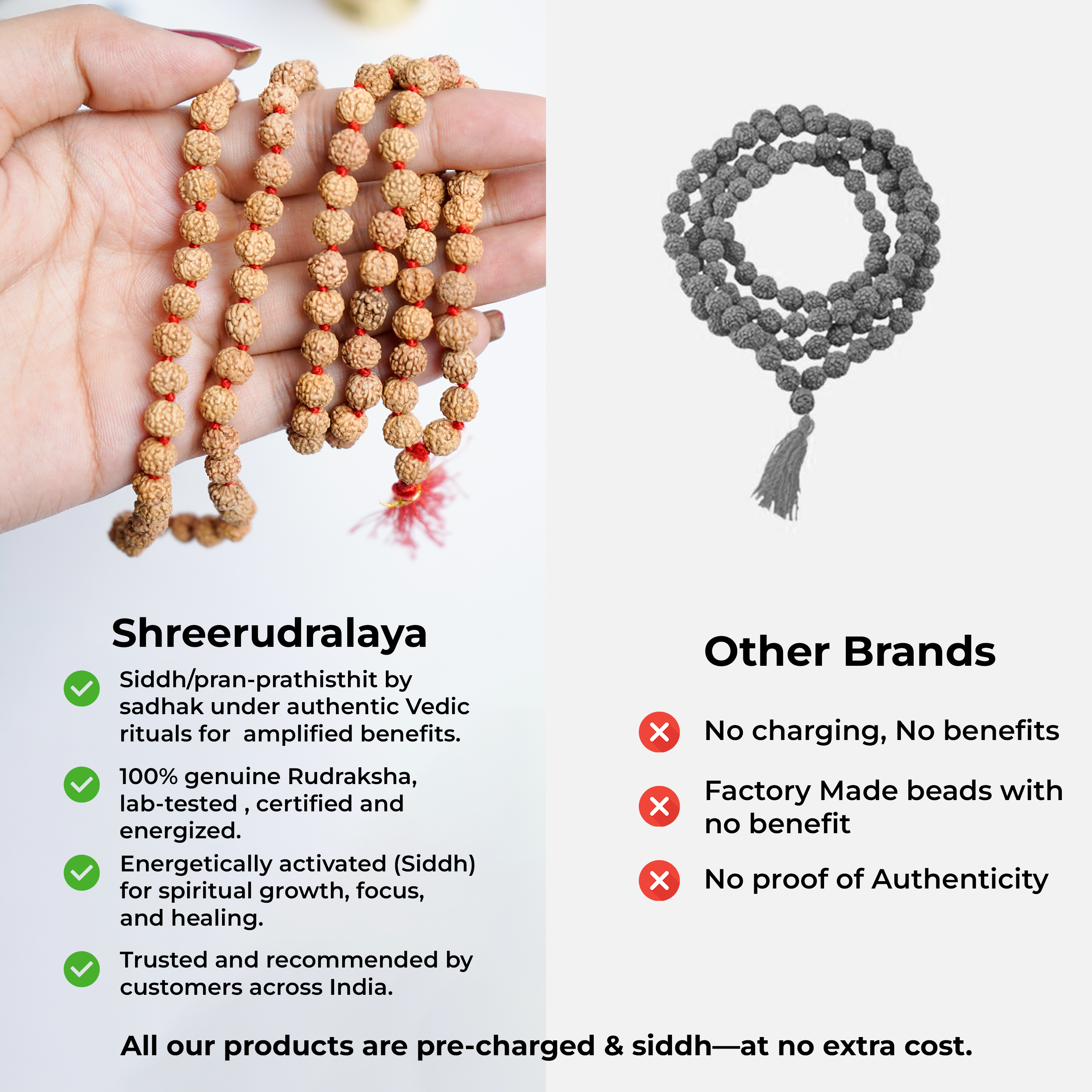 Natural Rudraksha Mala | 108+1 Beads Spiritual Mala