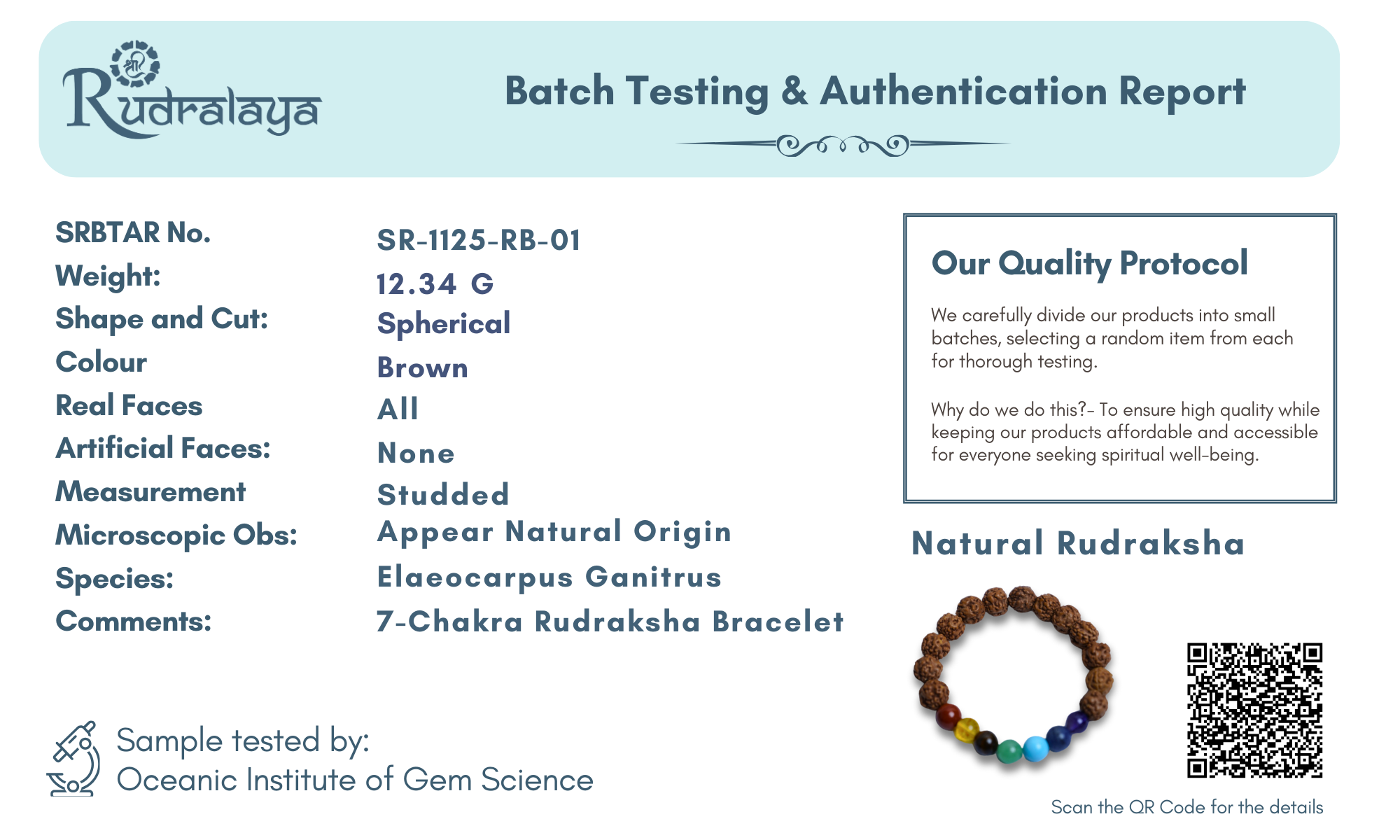 Natural Rudraksha with 7 Chakra Bracelet