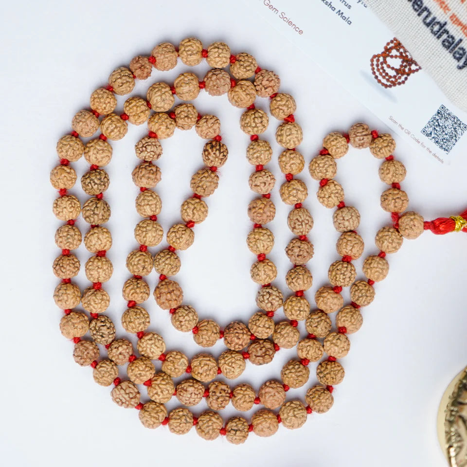 Authentic Rudraksha Mala – Premium Quality Beads for Meditation, Healing & Divine Connection Set of 2