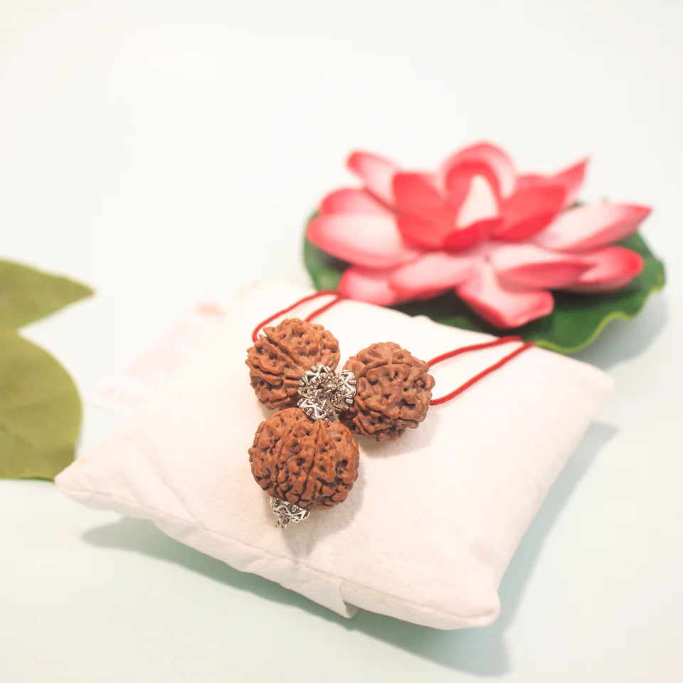 Mahalaxmi Kartikeya Pendant – 2 Seven Mukhi & 1 Six Mukhi Rudraksha