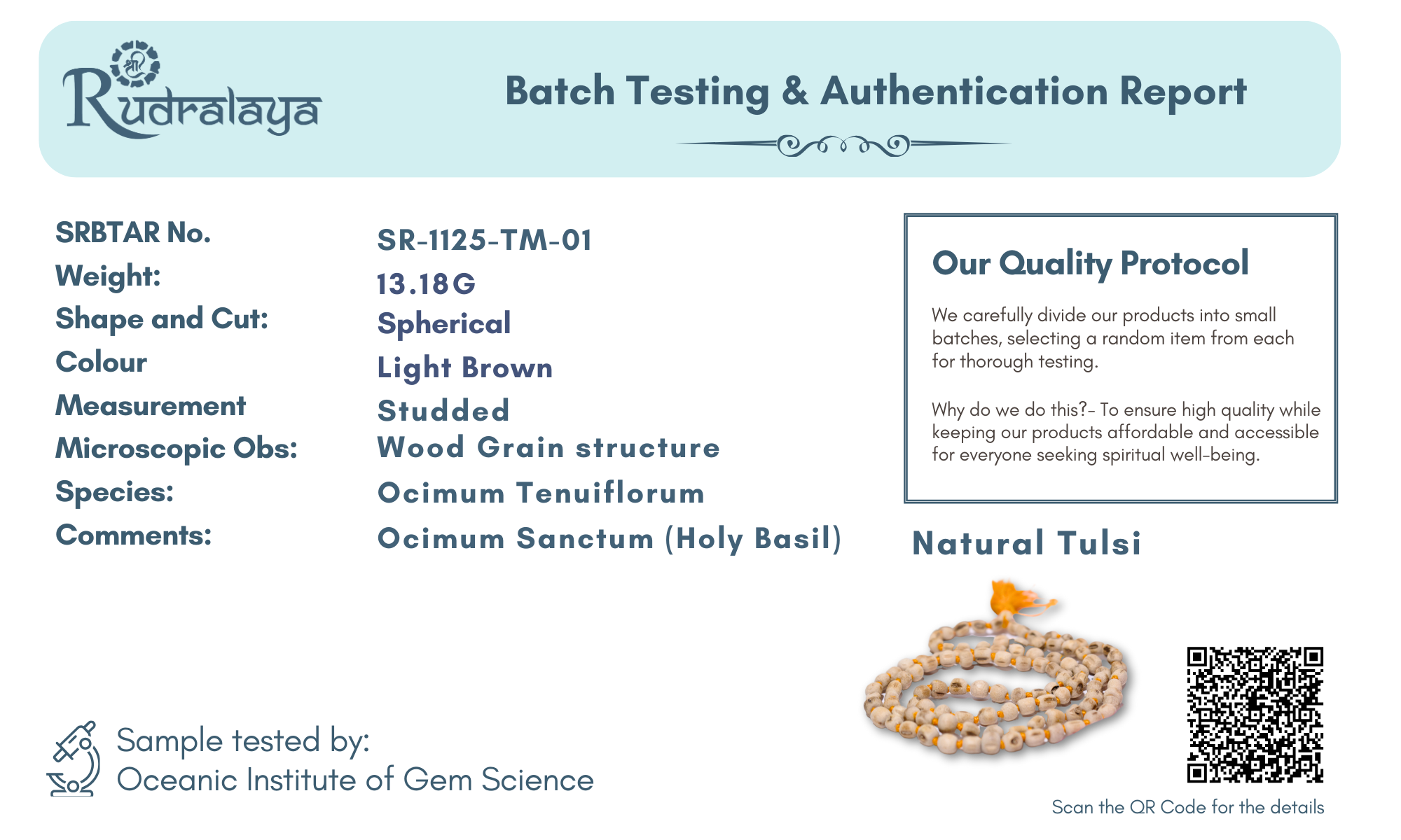 Natural Tulsi Mala | 108+1 Beads Spiritual Japa Mala for Meditation