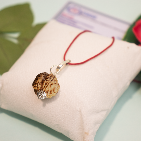 4 Mukhi Nepali Rudraksha Pendant – Wisdom, Creativity & Clear Communication
